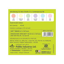 Load image into Gallery viewer, Fevicryl Multi Surface Pastel Acrylic Colours Kit 6 Shades X 15Ml
